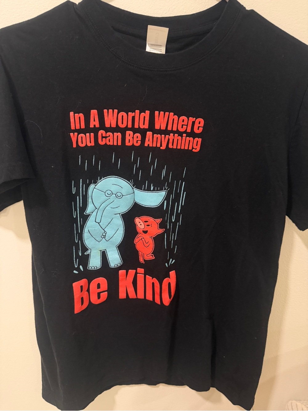 Be Kind Graphic Short Sleeve Tee - Black with Red & Light Blue Print